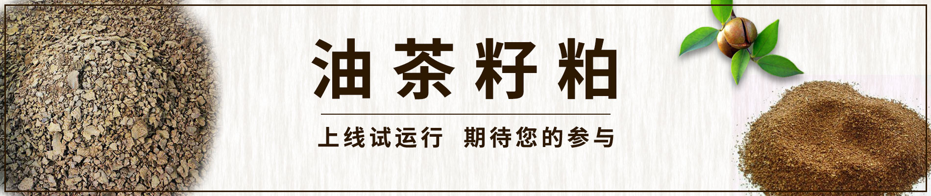 �Ͳ�����